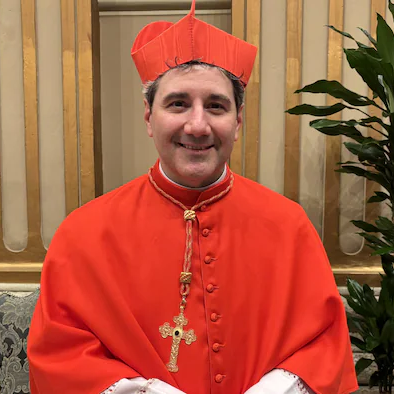 cardinal Leo