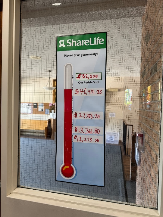 ShareLife Update
